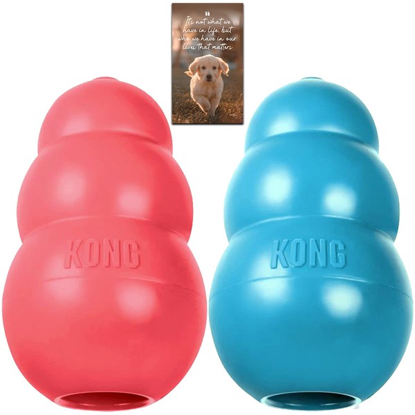 Kong USA Kong Puppy Medium Chew Toy and Magnet Bundle(2