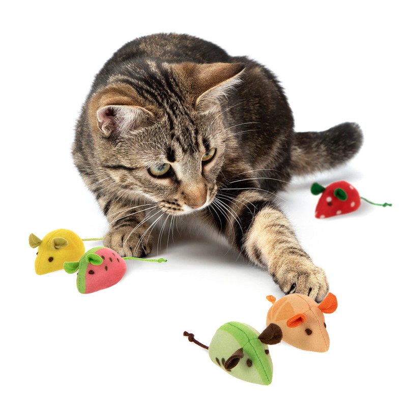 SmartyKat (5 Count Skitter Slices Plush Catnip Cat Toys -