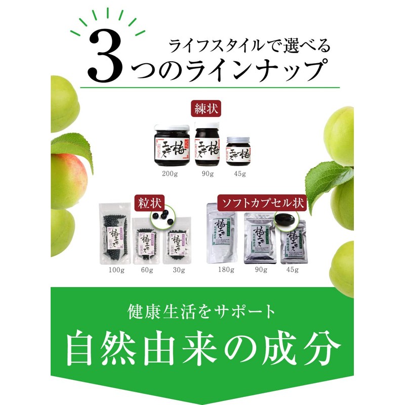 Fukubai Honpo 0% Salt Plum Extract (Plum Meat Extract) Soft