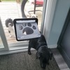 PETLESO Large Dog Door for Screen Door, Easy Install Lockable