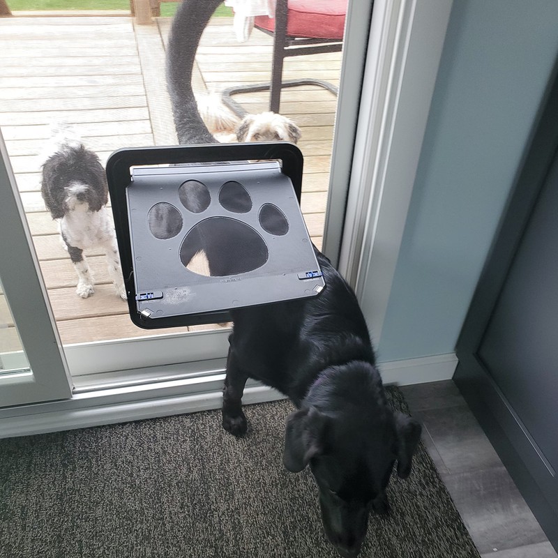 PETLESO Large Dog Door for Screen Door, Easy Install Lockable