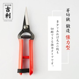 Kiri Forged Strong Type Garden Shears, Made in Japan, Niigata, Sanjo, Suitable for Detailed Work, Vegetable Harvesting, Fruit Tree Bud Cutting and Fruit Thinning, Hirosaki Type Bud Shears