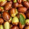 Shampoo Aceite Jojoba Extracto 250ml Celesty Brillo