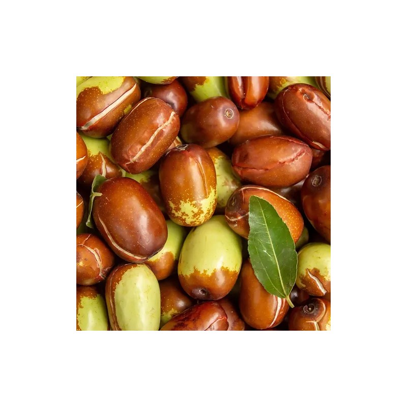 Shampoo Aceite Jojoba Extracto 250ml Celesty Brillo