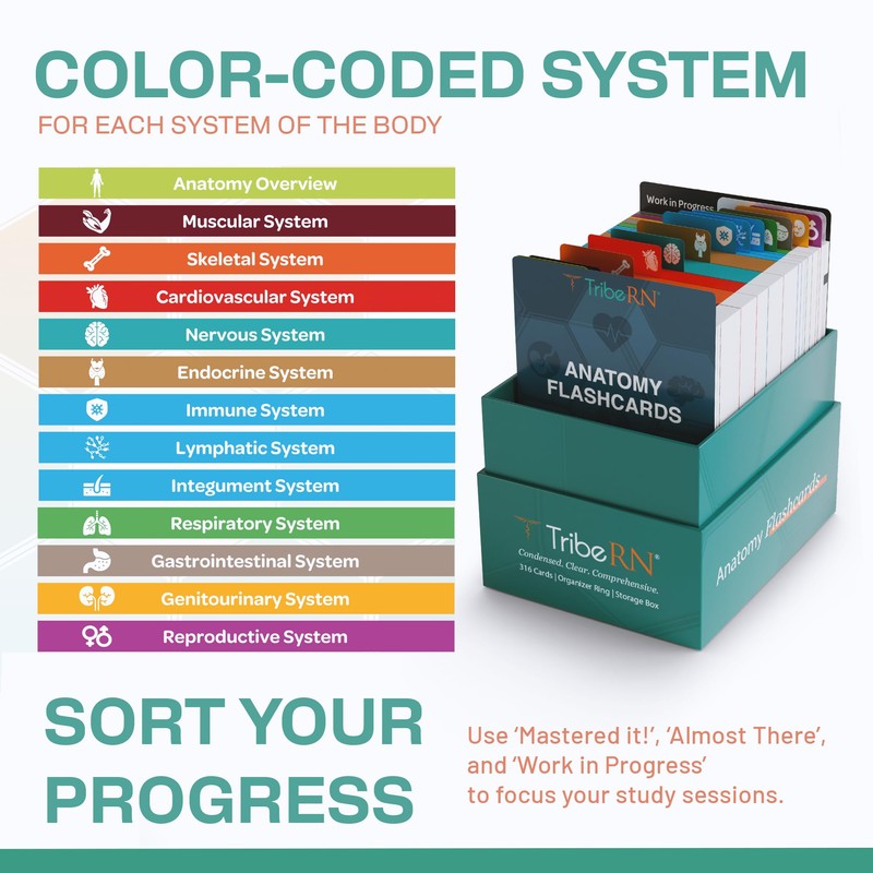 TribeRN Anatomy and Physiology Flash Cards – 320 Study Resources