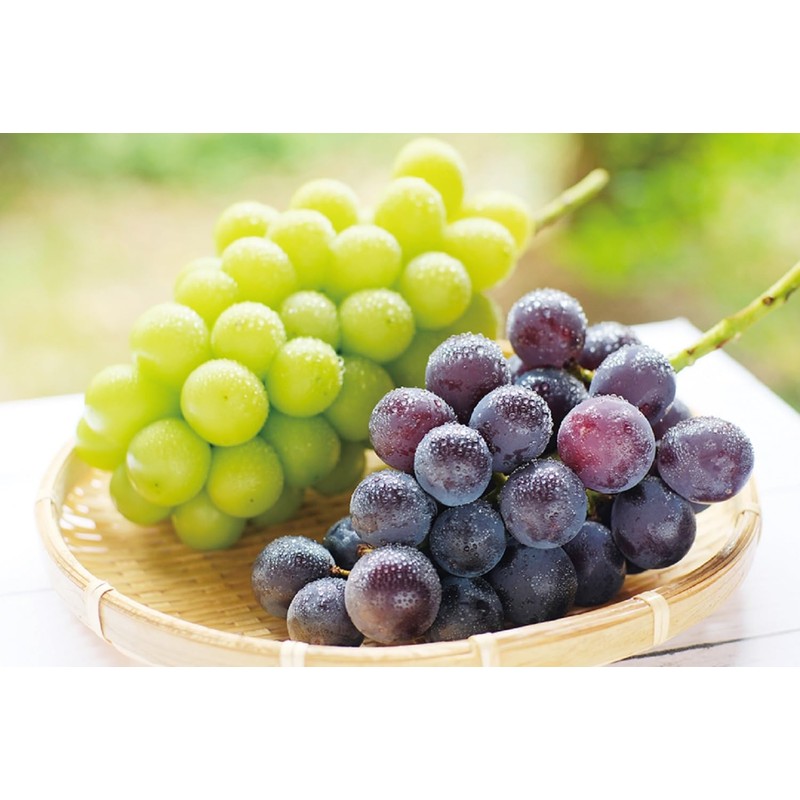 Kanematsu Seicha Cold Brew Tea Bag Set Pack (Lemon Sencha