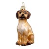 Joy to the World Brown Puggle Sitting Dog Polish Blown