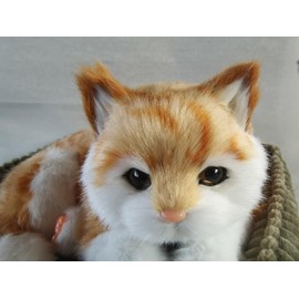 PawFection Pets Orange Tabby Cat, Realistic, Lifelike Stuffed Interactive Pet Toy, Companion Pet Kitten with 100% Handcrafted Synthetic Fur