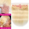 Blonde 613 13x4 Lace Frontal Only Straight Human Hair Transparent