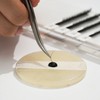 bllash BL Glue Tape Glue for eyelash extensions only /