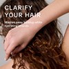 Acure Curiously Clarifying Shampoo & Conditioner Set, Vegan, 236ml, 2-Pack