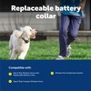 PetSafe Stay & Play Wireless Fence Replaceable Battery Receiver Collar