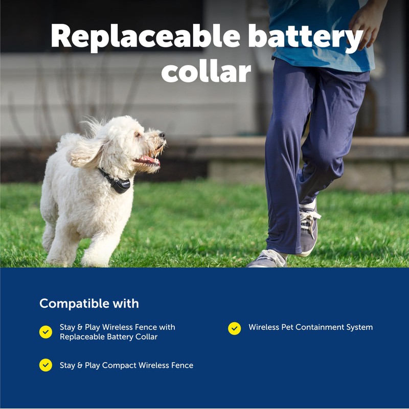 PetSafe Stay & Play Wireless Fence Replaceable Battery Receiver Collar