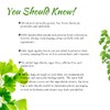 Soilmount Ginkgo Leaf Tea | Herbal Tea | Yin xin