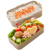 Skater TinyTAN PFLW4AG-A Lunch Box, 23.6 fl oz (600 ml),