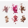 Bissú 6 colors Makeup Palette (4grms each color) includes 2