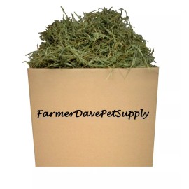 FarmerDavePetSupply 15 lb PREM. 2nd Cut Timothy Hay-Bunny,Chin