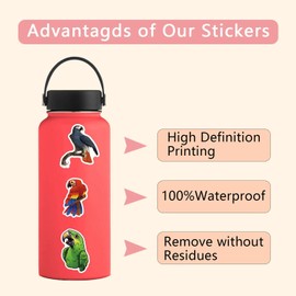 100 Pieces Colourful Parrot Stickers for Water Bottle|Vinyl Waterproof Decals for Laptop Skateboard Phone Car Decals for Teens Adults for Party Favors Supplies Decor (Cute Bird Stickers)