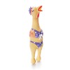 Charming Pet Squawkers Dog Toys