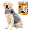 ThunderShirt Breeze for Dogs, X-Large, Aqua, Extra Breathable Mesh Fabric,