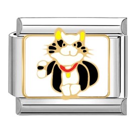 Quiges 9 mm Italian Style Charm Module Stainless Steel Cool Cat for Italian Bracelets, Copper, No Gemstone