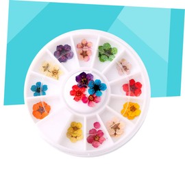 Healvian Colorful Dried Flowers Nail Art Supplies Color Plum Blossom Stickers for Creative Manicure for Professional Home Use Portable Nail Art Accessories