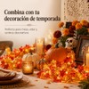 Guirnalda de Otoño con Luces Cálidas, 1.75 m, Hojas de