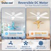 Dolavast Ceiling Fans with Lights and Remote, 48 Inch Ceiling