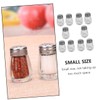 Generic 10Pcs Mini BBQ Spice Bottles Easy to Use Seasoning