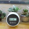 Black Timer Indoor Automatic Watering Device System Automatic Irrigation Waterer