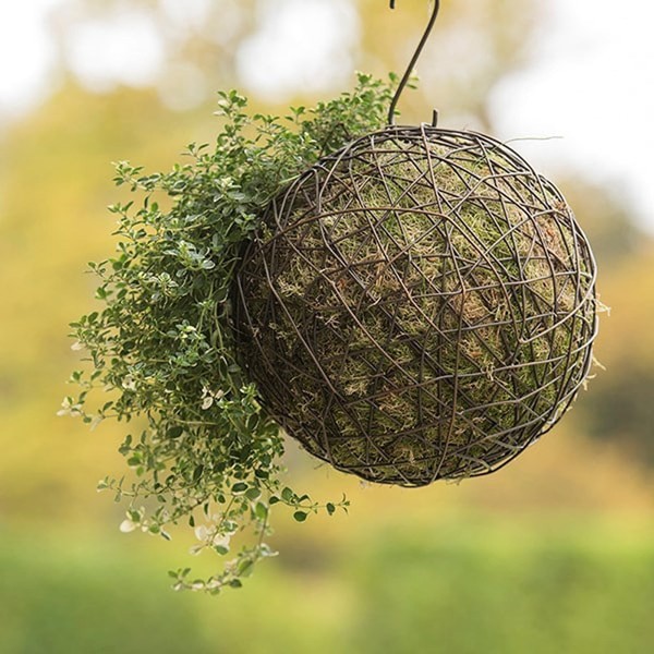 Crocus Collection 16cm Hanging Wire Ball Living Sculpture Garden Ornament