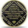 18 Year Phoenix Sobriety Coin – Rebirth in Sparks NA