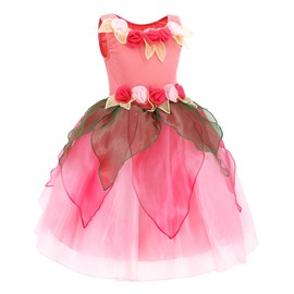 Axaxa Fairy Costume for Girls Fairy Dress Toddlers Princess Fairy Costume Set with Butterfly Wings Headband Wand Pink