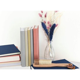 moses. libri_x Book Brush for Dusting Books and Bookcase with Different Bristle Thicknesses, Against Dirt and Dust