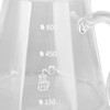 600ml Hand Drip Coffee Glass Cup with Unique Eagle Beak
