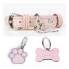 Collar Piel Perro Lujo Con Placa De Identificación Grabada