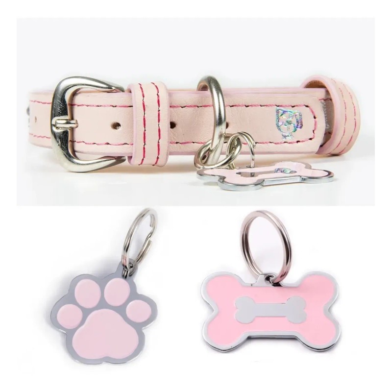 Collar Piel Perro Lujo Con Placa De Identificación Grabada