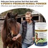 V-POINT - Laminitis Ease - hoof Supplements for Horses -
