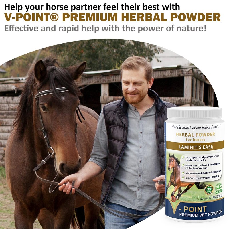 V-POINT - Laminitis Ease - hoof Supplements for Horses -