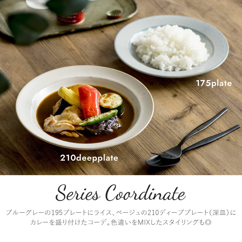 MINORU TOUKI Minorutouki mino ware Curio Plate Beige Set of