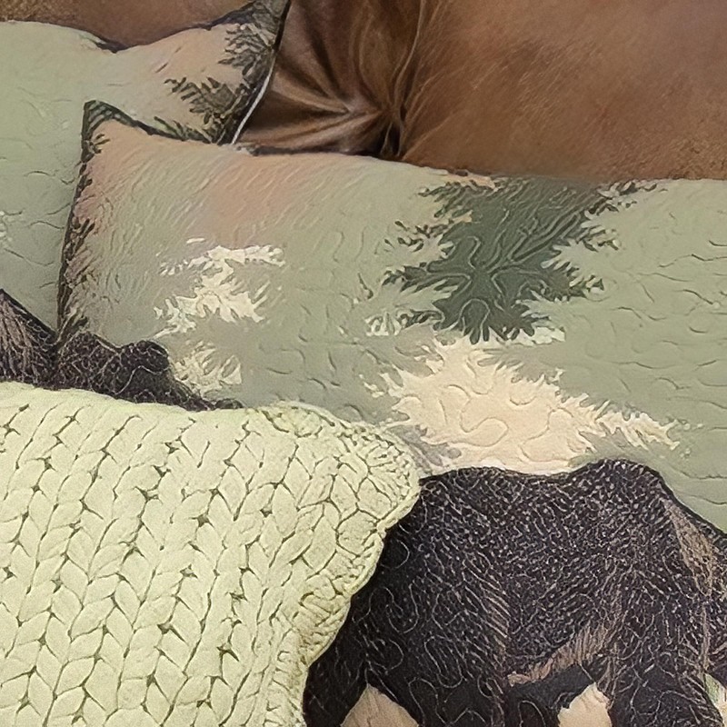 Black Forest Décor Black Bear Log Cabin Quilt Bed Set