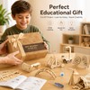 DIY Wooden STEM Science Model Kit – Hands-On Educational Assembly