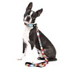 Max&Molly Dog Leash Slide Tag (Fits Medium and Large Leads)