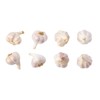 Fresh Garlic - 500gram