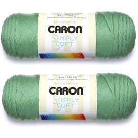 Bulk Buy: Caron Simply Soft Yarn Solids (2-Pack) (Sage)