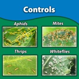 Monterey (LG6294) - Horticultural Oil Spray, Insecticide/Pesticide Treatment for Control of Insects (32 oz.)