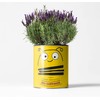 Bee Friendly Flower Luxury Grow Kit, The Plant Gift Co.