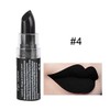 Lápiz Labial Mate, Paleta de Lápiz Labial, Lápiz Labial Mate