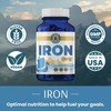 Vykee Nutrition Iron Supplement – 36mg Iron (as Bisglycinate) |