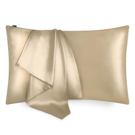 LILYSILK 100% Silk Pillowcase 1PC 25MM Pure Bed Pillowcase for Hair & Skin Terse Envelope Double-Sides Charmeuse Silk, Coffee Standard 20x26 inches